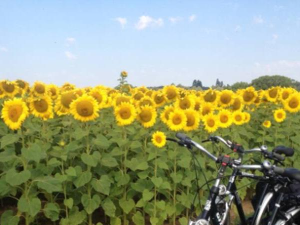 Loire Valley by bike vacation