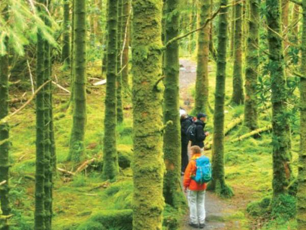 Ring of Kerry walking vacation in Ireland
