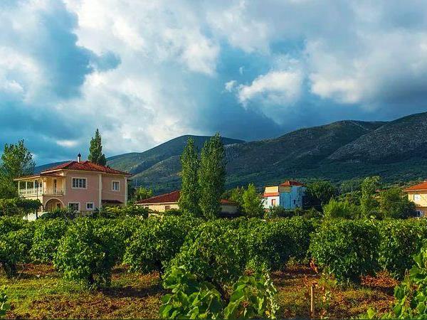 Greek Island tour, Zakynthos and Santorini