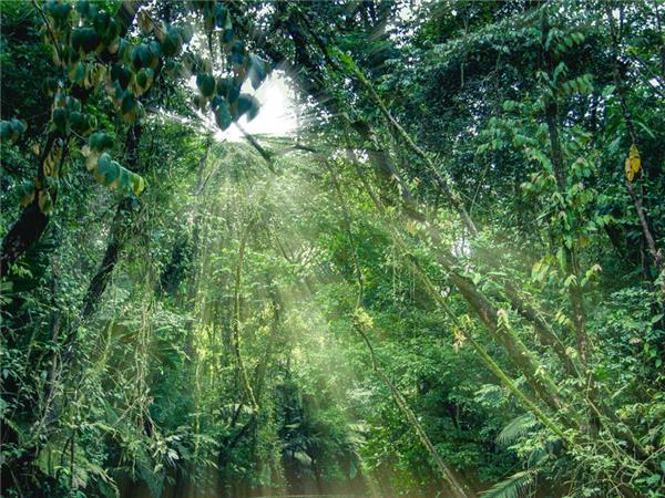 Costa Rica cycling tour