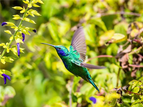 Costa Rica cycling tour