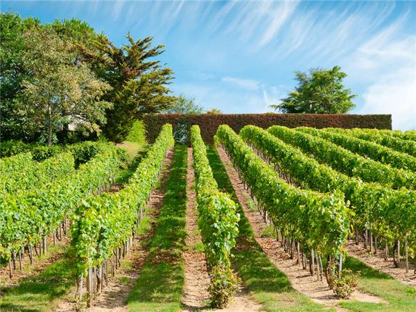 France cycling vacation, Loire Valley