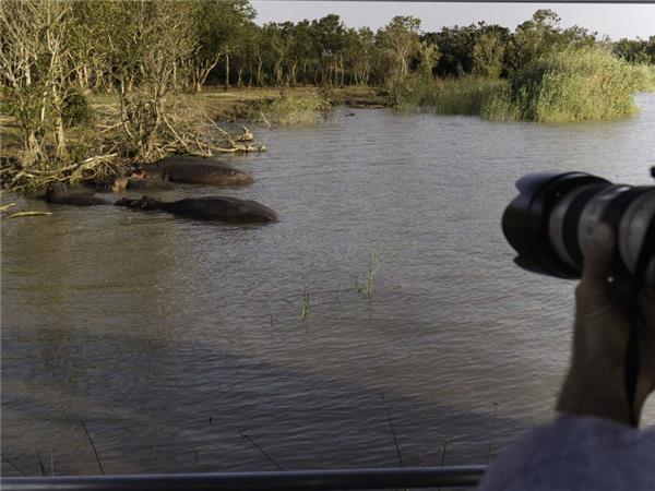 Kruger, Swaziland and South Africa's garden route vacation