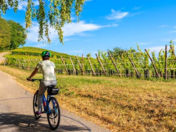 Alsace cycling vacation in France