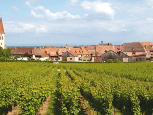 Alsace cycling vacation in France