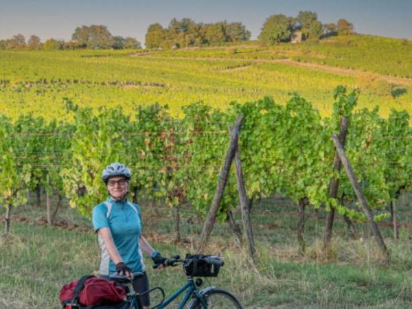 Alsace cycling vacation in France