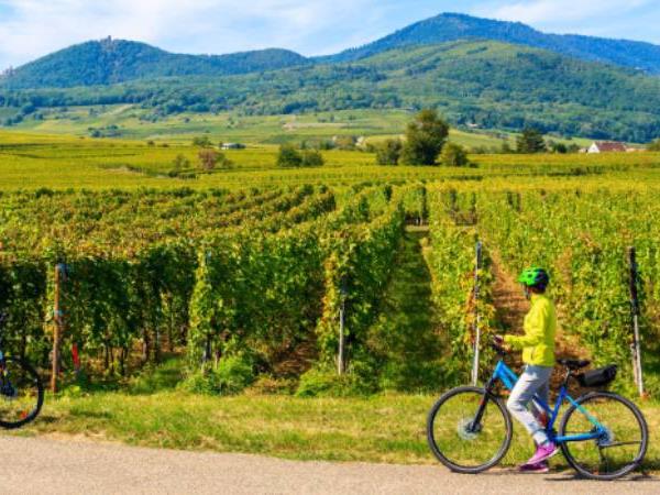 Alsace cycling vacation in France