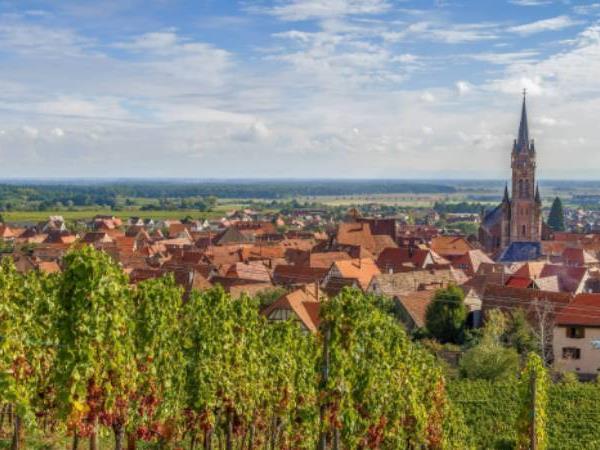Alsace cycling vacation in France