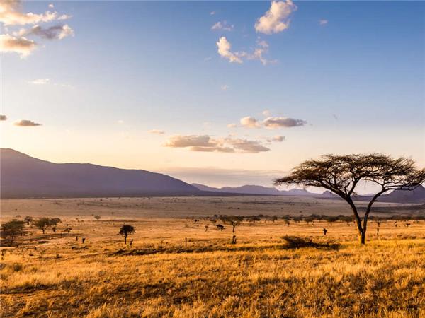 Highlights of Kenya & Tsavo with added comfort