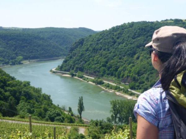 Germany walking vacation, Rhine River & Castles Walk