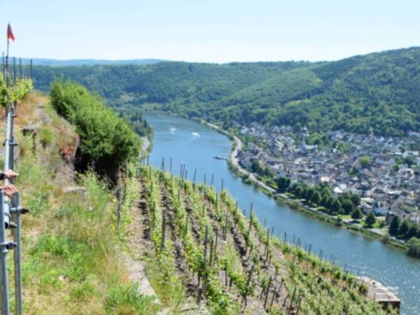 Germany walking vacation, Rhine River & Castles Walk