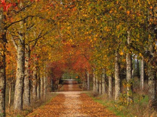 The Portuguese Way hiking vacation