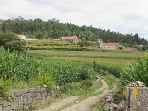 The Portuguese Way hiking vacation