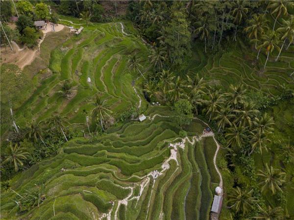 Bali & Gili Islands vacation for under 35's