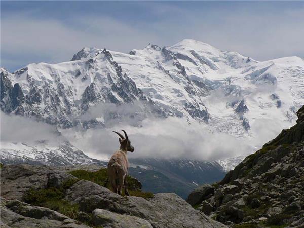 Mont Blanc vacation, Tour du Mont Blanc