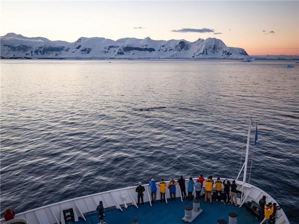 Antarctic whale watching cruise