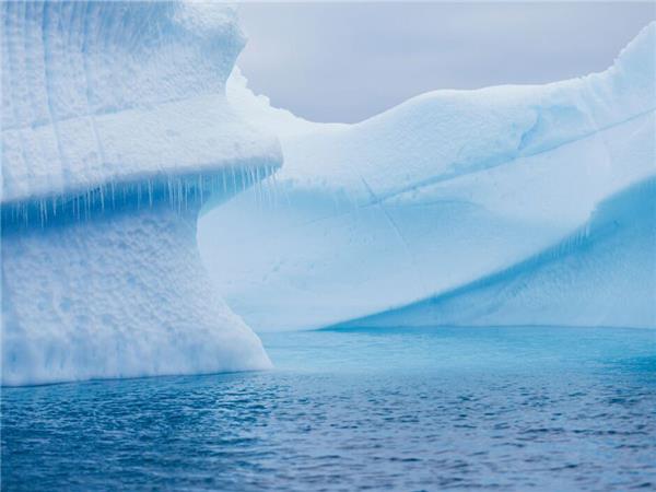 Antarctic whale watching cruise