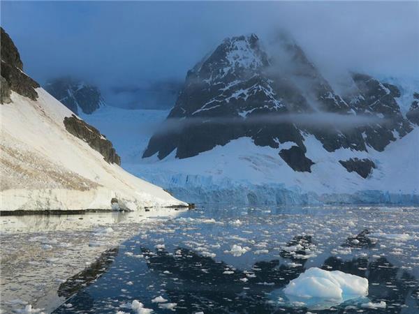 Antarctic whale watching cruise