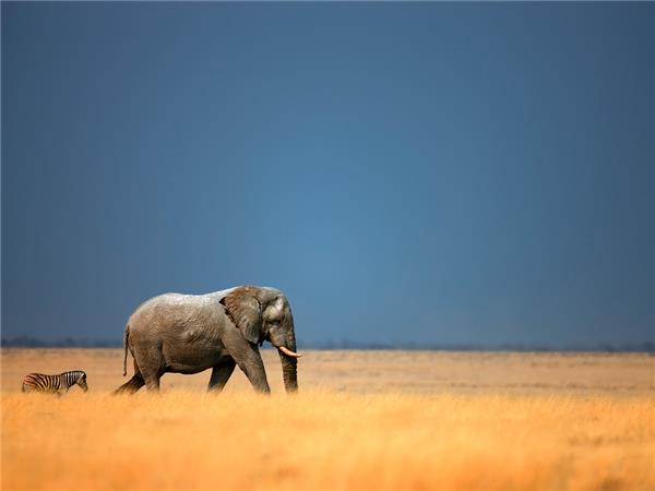 Premium Namibia small group vacation