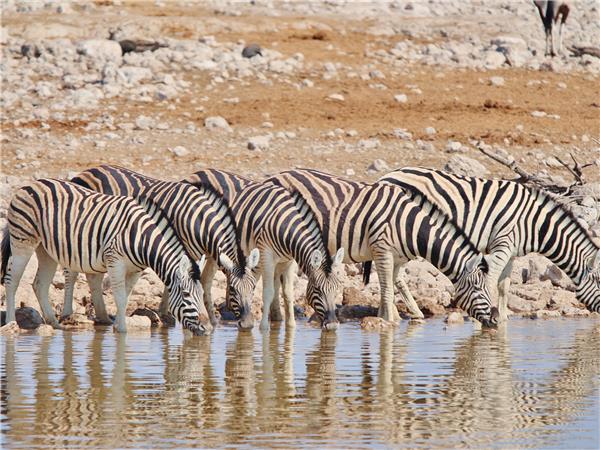 Premium Namibia small group vacation