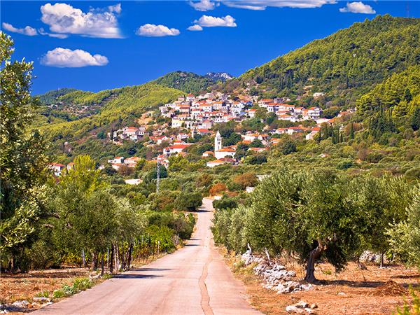 Split to Dubrovnik small group tour with added comfort