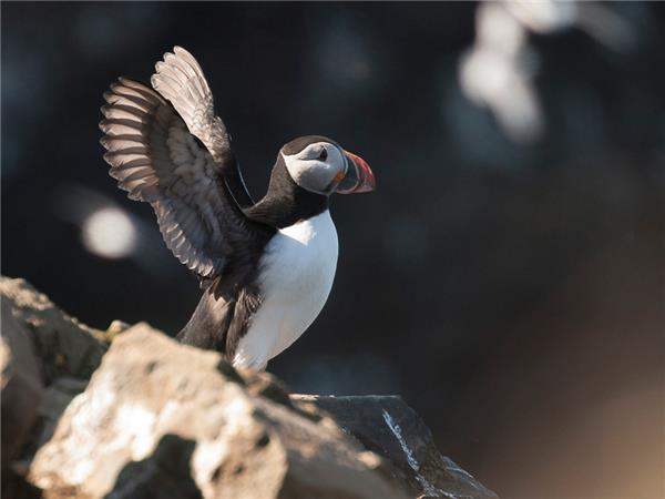 Iceland small group tours with added comfort