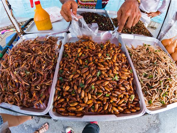 North Thailand group vacation, a food adventure