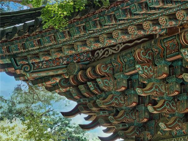 Discover South Korea 