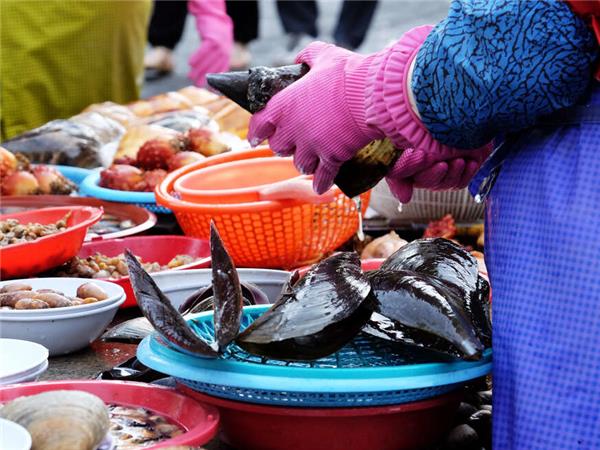 Discover South Korea 