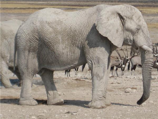 Cape Town to Nairobi overland tour