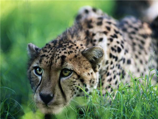 Nairobi to Johannesburg overland tour in Africa