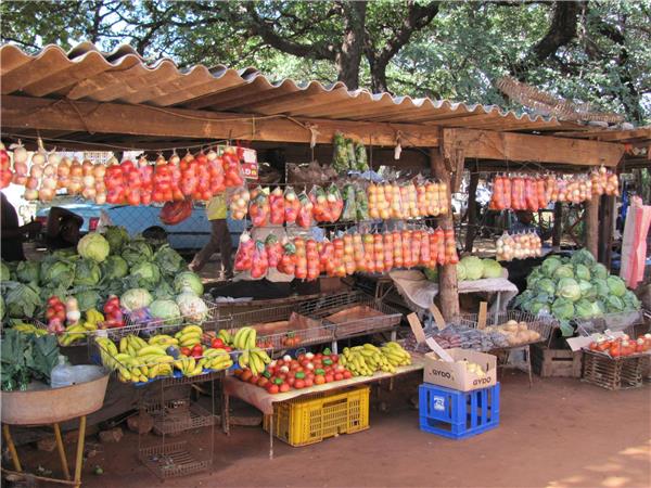 Zimbabwe to South Africa overland tour, 34 days