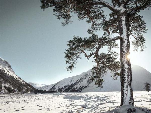 Cairngorms wildlife winter adventure