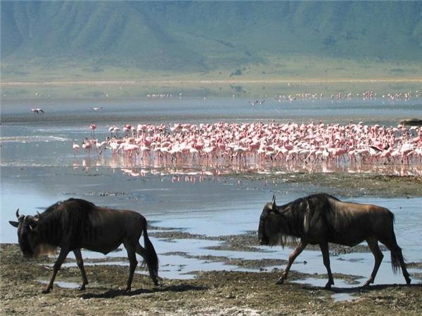 Nairobi to Dar Es Salaam 2 week tour