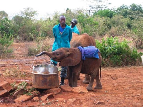 Nairobi to Dar Es Salaam 2 week tour