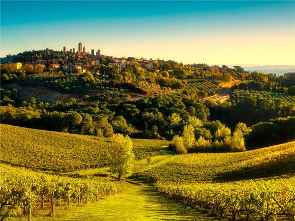 Southern Tuscany walking and wine vacation