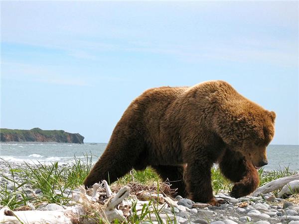 Alaska Hike, Bike & Kayak vacation