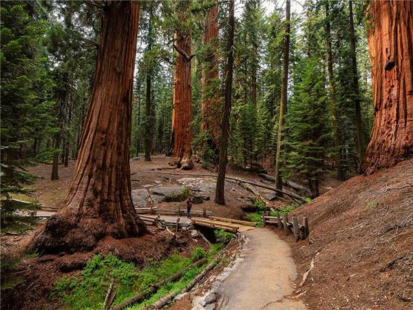 Hiking in vacation in Yosemite National Park