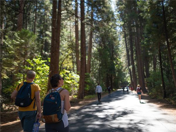 Hiking in Yosemite National Park