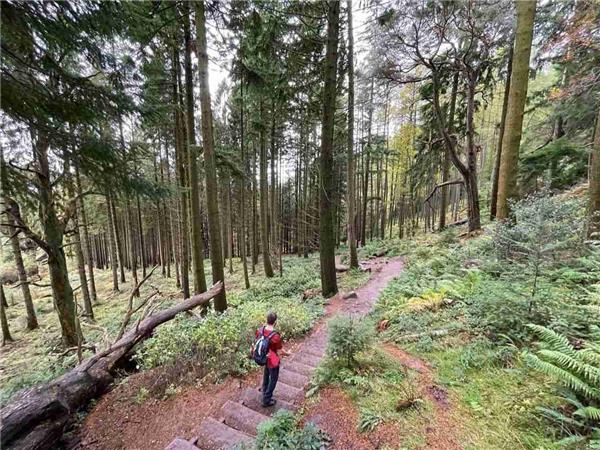 10 day West Highland Way walking vacation