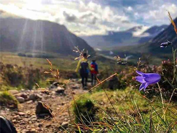 West Highland way hiking vacation, 8 days