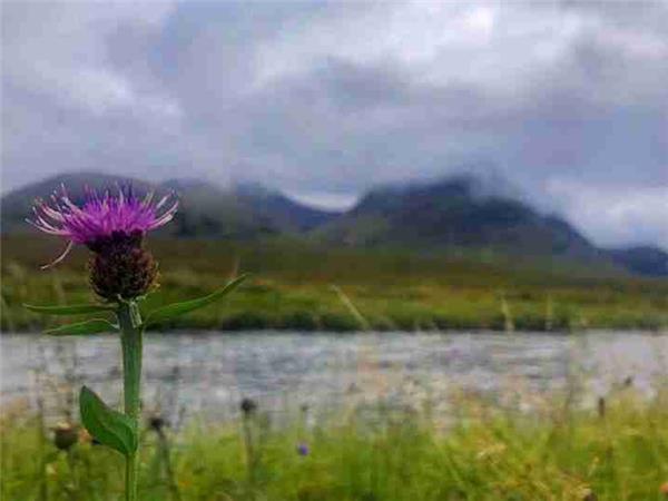West Highland way hiking vacation, 8 days