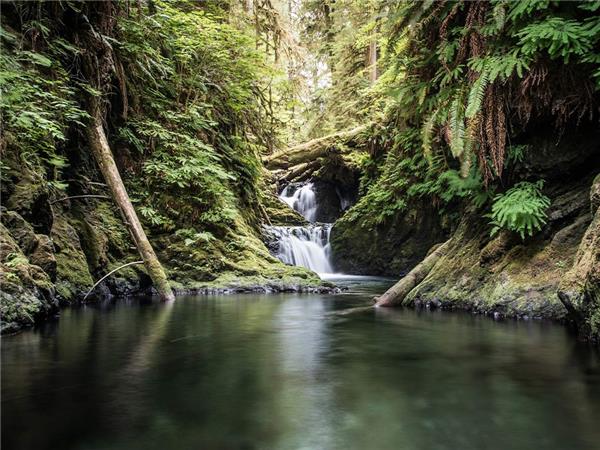 Pacific Northwest small group vacation