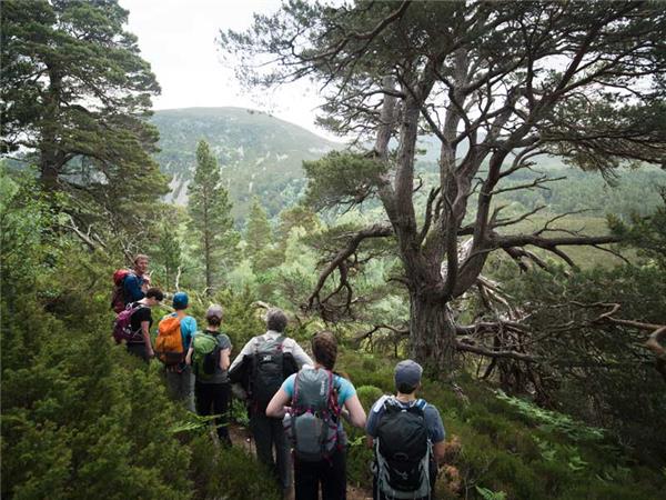 National parks of the UK walking vacation
