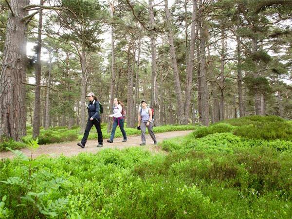 National parks of the UK walking vacation