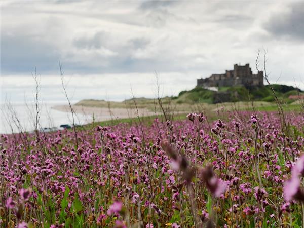 Northumberland and Lake District walking vacation