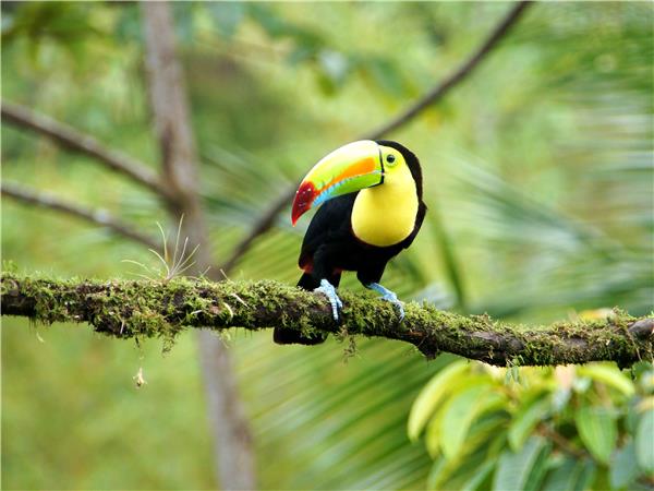 Costa Rica active adventure