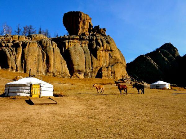 Discover Mongolia vacation, small group