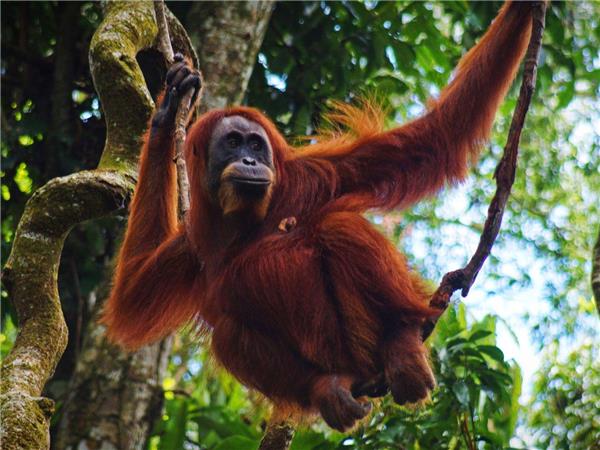 Vietnam to Singapore overland adventure vacation
