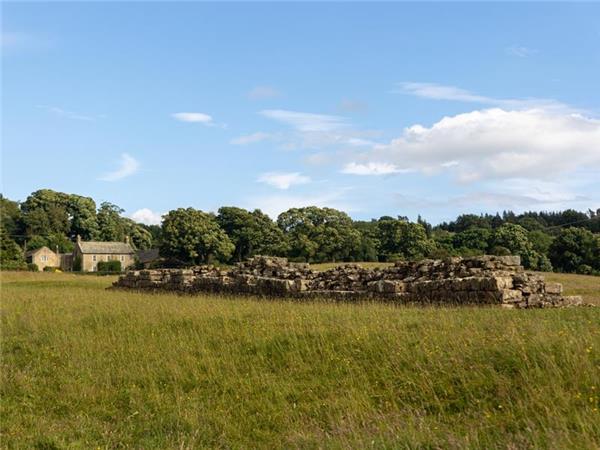 Hadrians Wall 9 day walking vacation, England